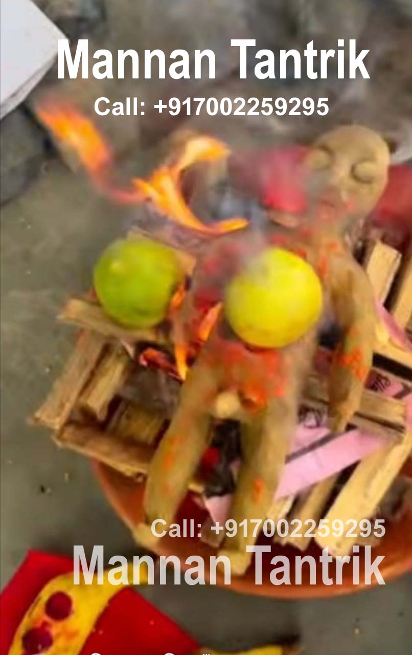Havan offering with fruit and wood arranged in a clay vessel